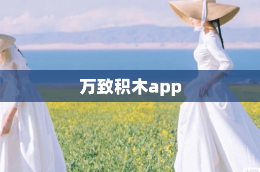 万致积木app