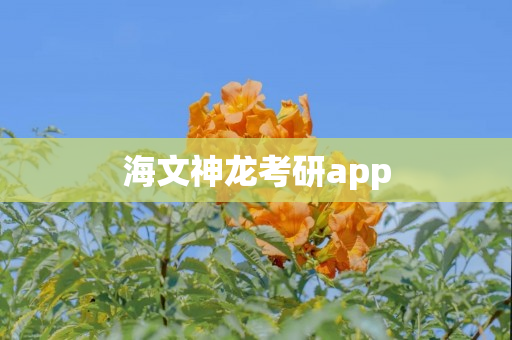 海文神龙考研app