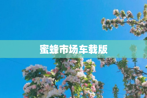 蜜蜂市场车载版