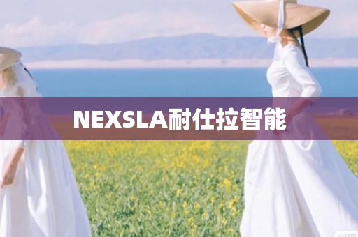 NEXSLA耐仕拉智能