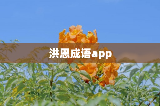 洪恩成语app