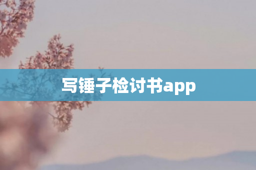 写锤子检讨书app