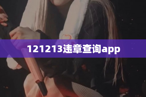 121213违章查询app