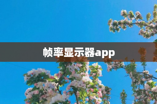 帧率显示器app