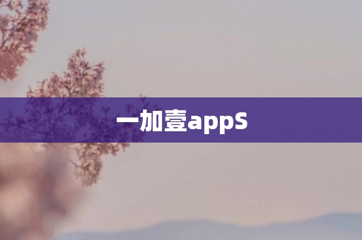 一加壹appS