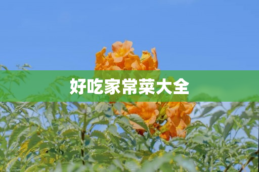 好吃家常菜大全