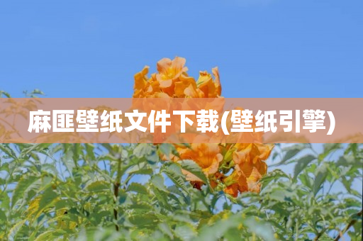 麻匪壁纸文件下载(壁纸引擎)