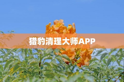 猎豹清理大师APP