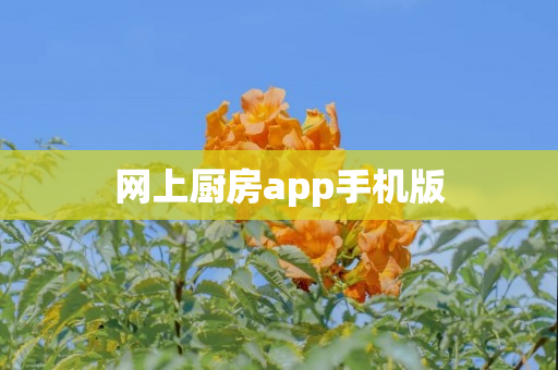 网上厨房app手机版