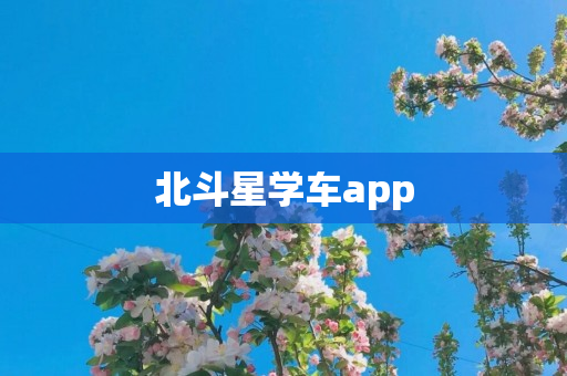 北斗星学车app