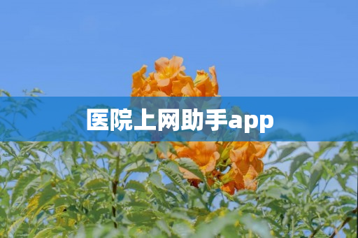 医院上网助手app