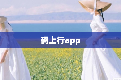 码上行app