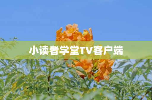 小读者学堂TV客户端