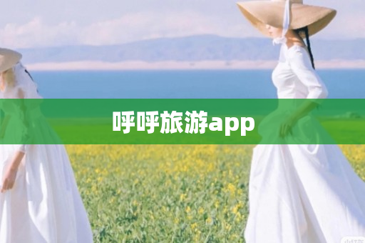 呼呼旅游app