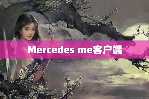 Mercedes me客户端