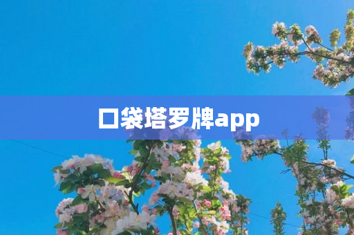 口袋塔罗牌app