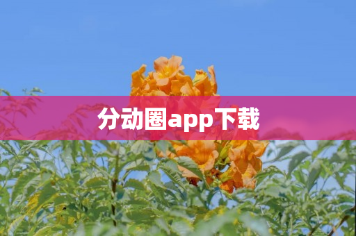 分动圈app下载