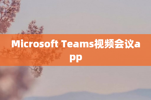 Microsoft Teams视频会议app