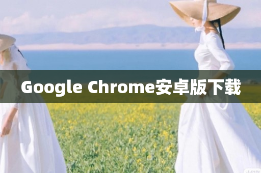 Google Chrome安卓版下载