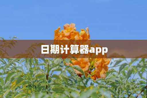 日期计算器app