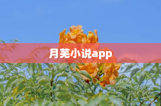 月芜小说app