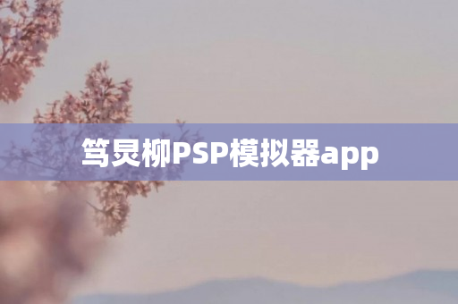 笃炅柳PSP模拟器app