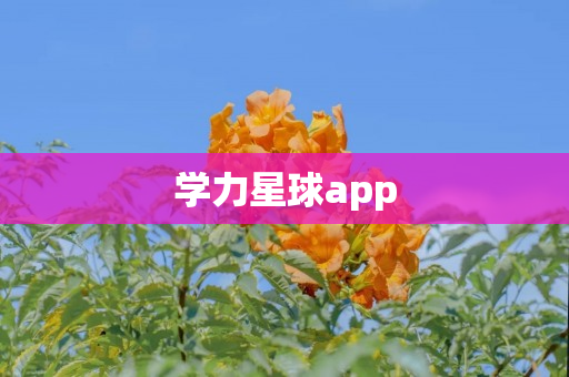 学力星球app