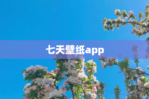 七天壁纸app