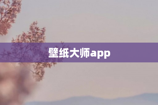 壁纸大师app