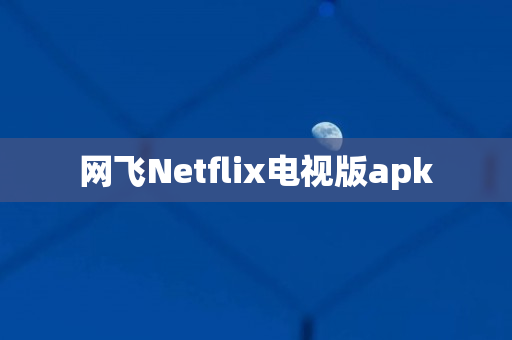 网飞Netflix电视版apk