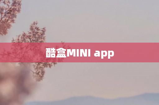 酷盒MINI app