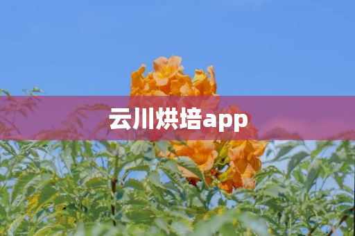 云川烘培app