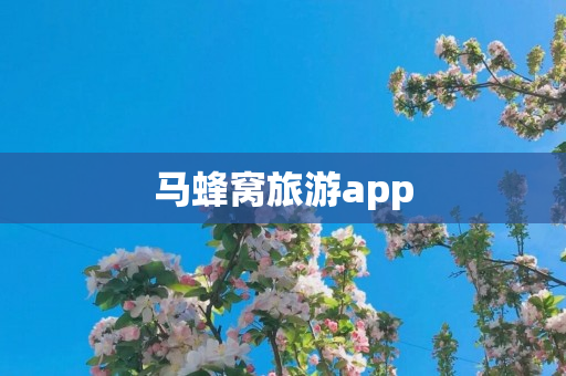 马蜂窝旅游app