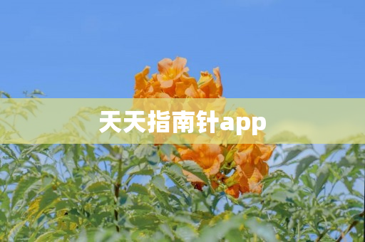 天天指南针app