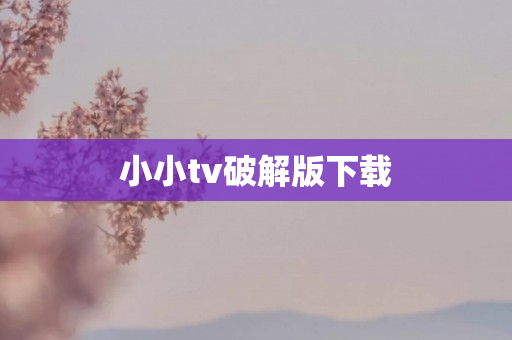 小小tv破解版下载