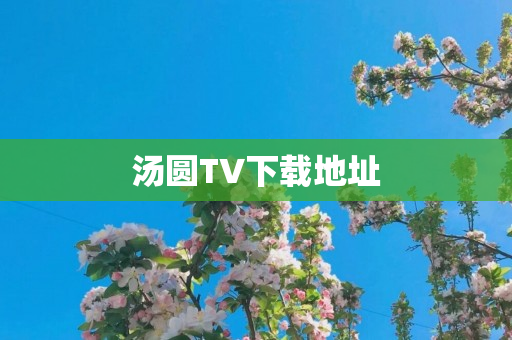 汤圆TV下载地址