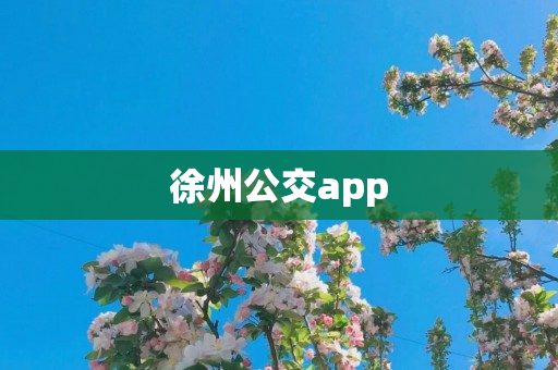 徐州公交app