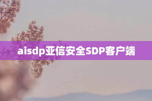 aisdp亚信安全SDP客户端