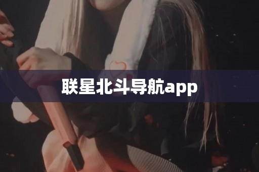 联星北斗导航app