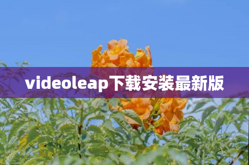 videoleap下载安装最新版