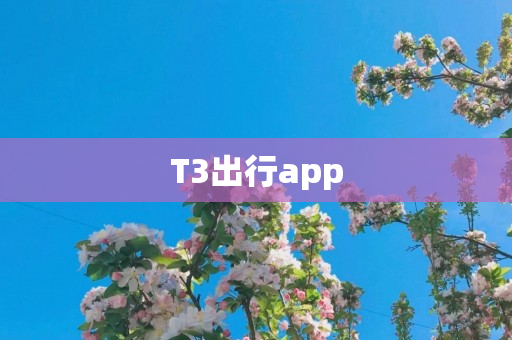 T3出行app