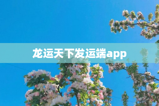 龙运天下发运端app