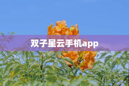 双子星云手机app