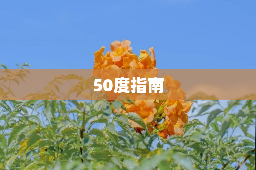 50度指南