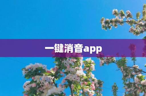 一键消音app