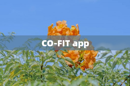 CO-FIT app