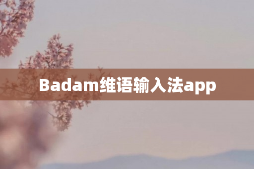 Badam维语输入法app