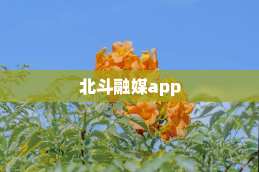 北斗融媒app