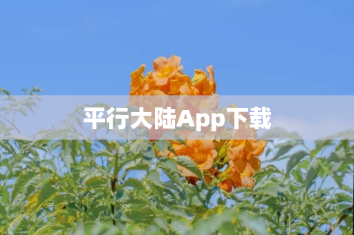 平行大陆App下载