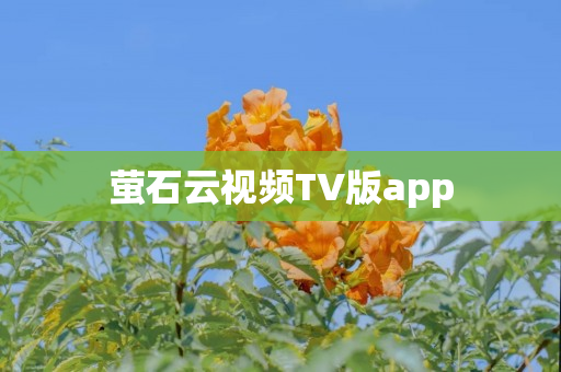 萤石云视频TV版app